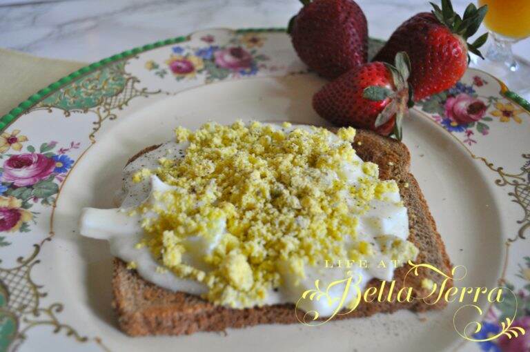 Eggs a la Goldenrod Life at Bella Terra