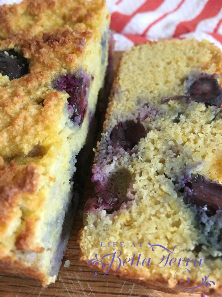 Lemon Blueberry Bread~gluten, dairy and grain free