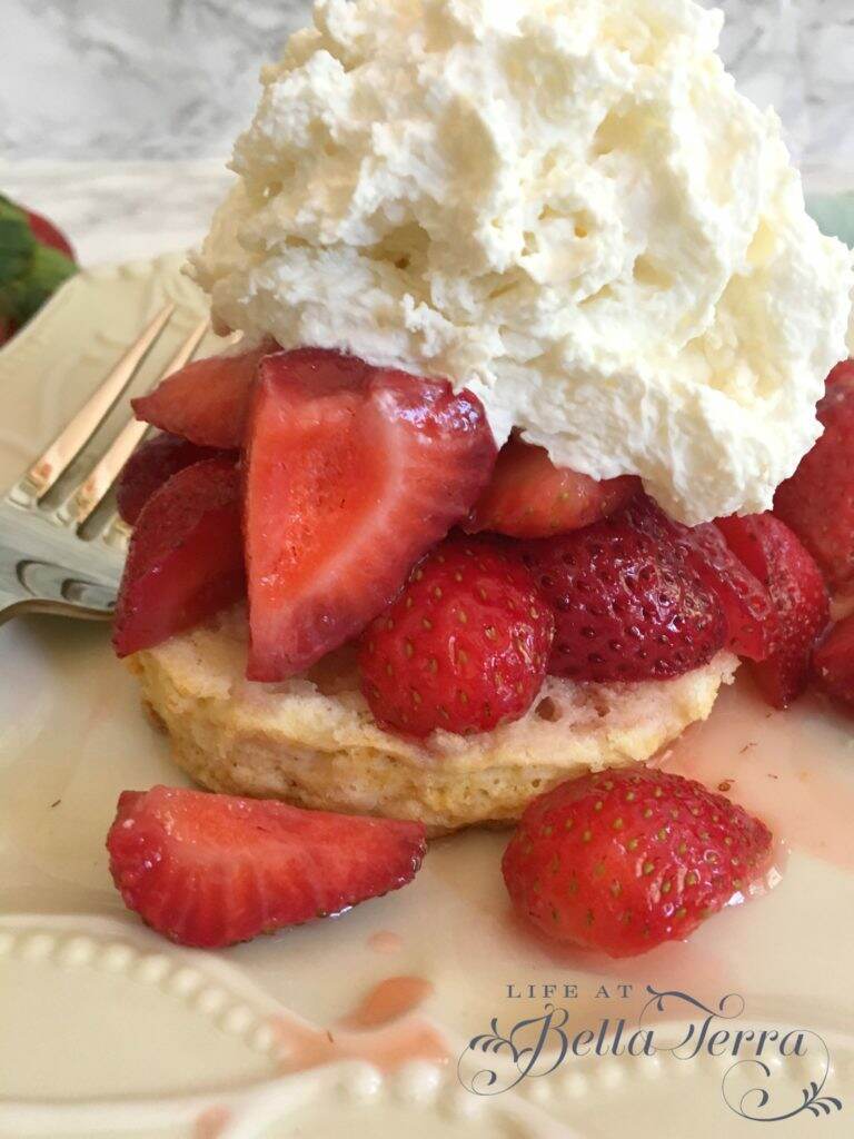 Strawberry Shortcake