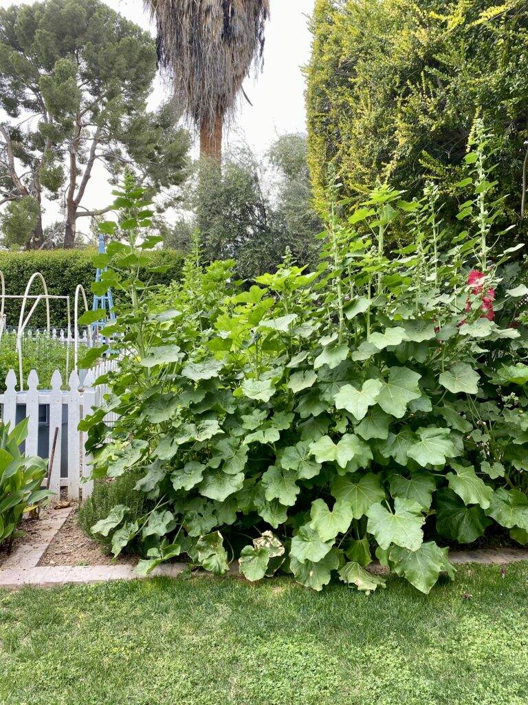 Composting 101