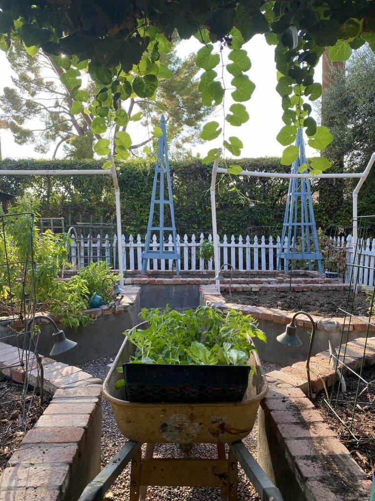 Getting the Garden Ready for the Fall planting