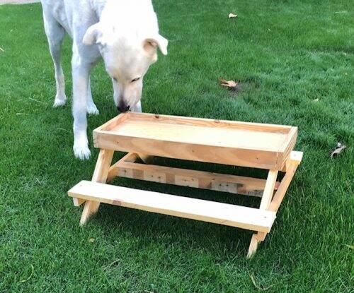 A DIY Chicken Feeder Picnic Table | Life at Bella Terra