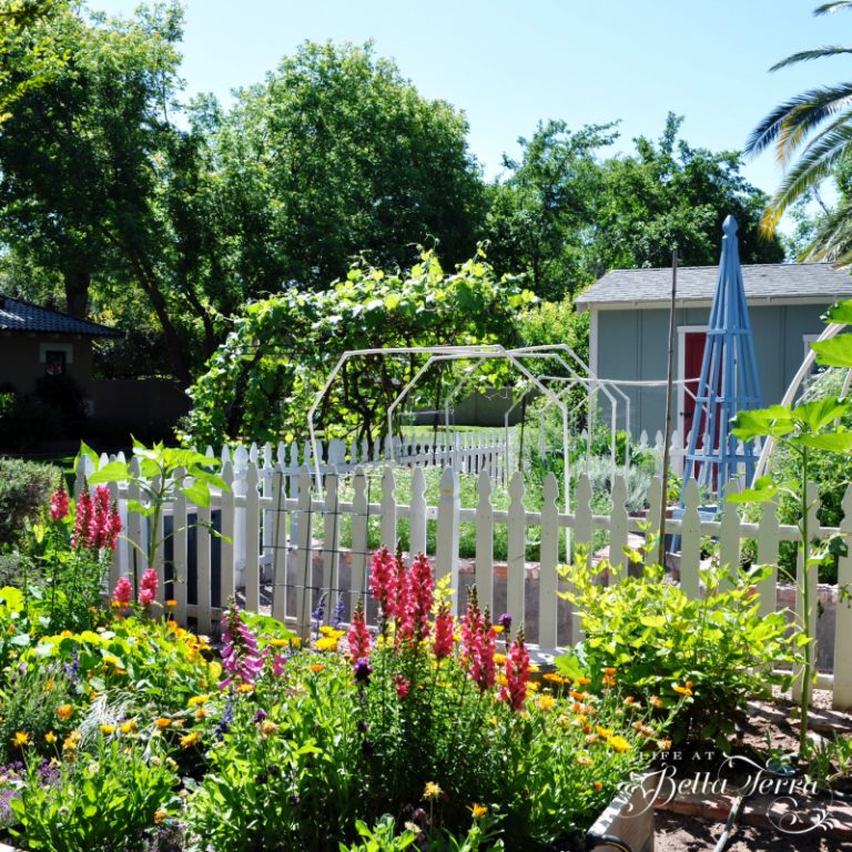 How to Build a Garden Obelisk