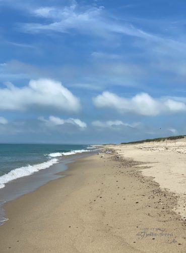 A Trip to Nantucket | Life at Bella Terra