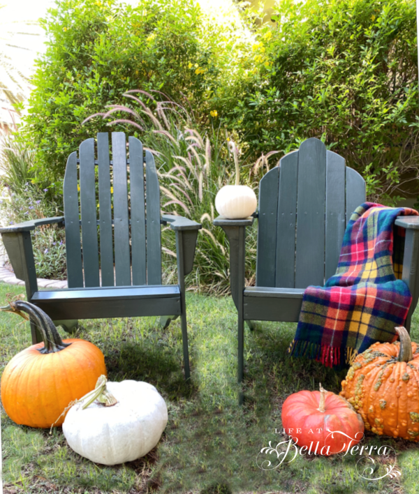 From Trash to Treasure: Rescuing Adirondack Chairs | Life at Bella Terra