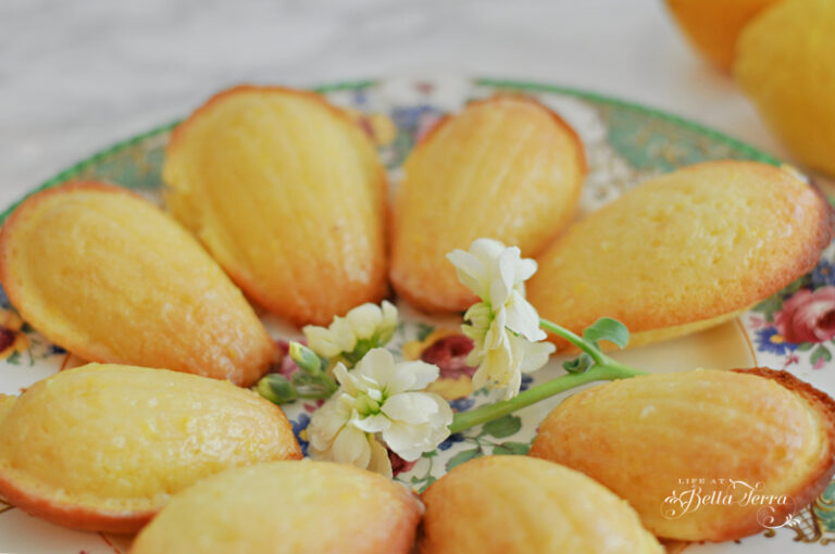 Mastering the Art of Madeleines: A Sweet Journey into French Baking