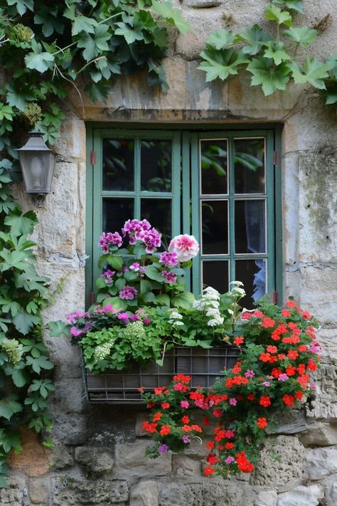 Who Loves a Beautiful Window Box?