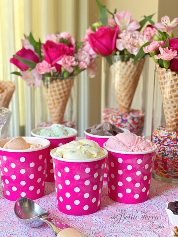 It’s Summer and Cool Down with an Ice Cream Social!