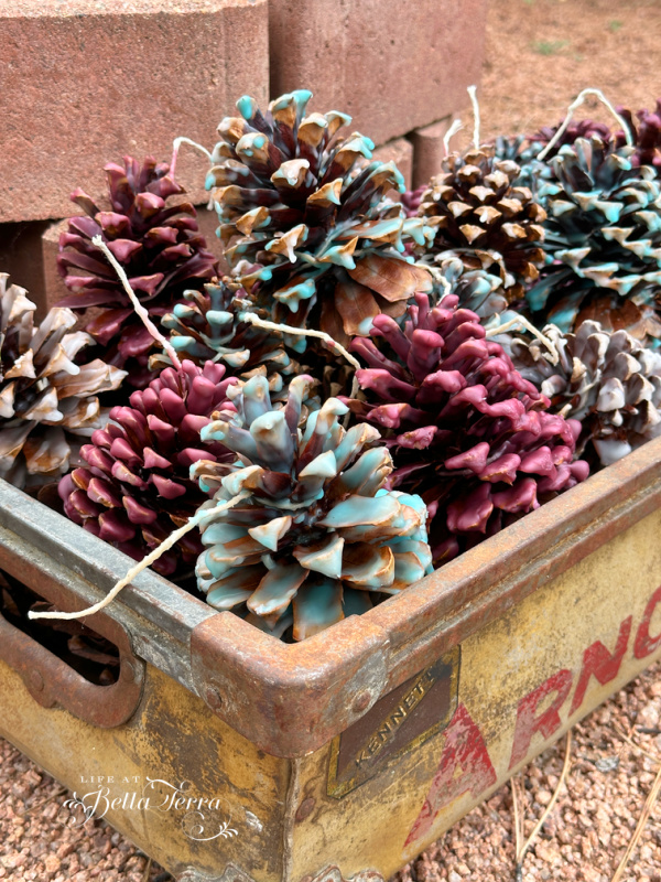 How to Make Your Own Pinecone Fire Starters