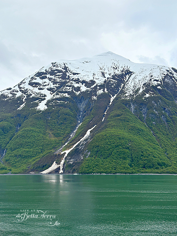 From Sea to Shore: How We Planned the Ultimate Alaska Cruise