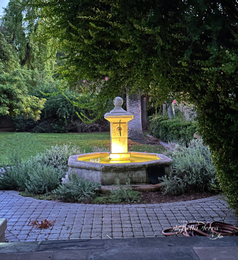Saturday Meanderings