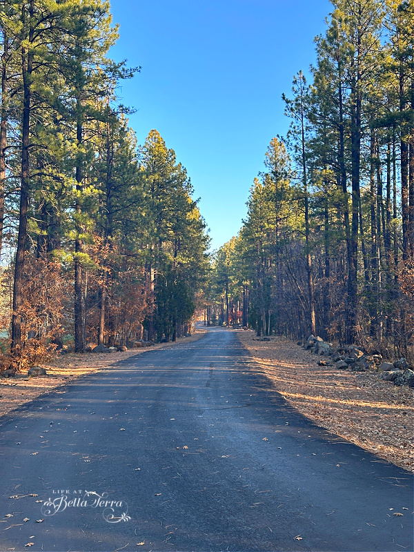 Saturday Meanderings