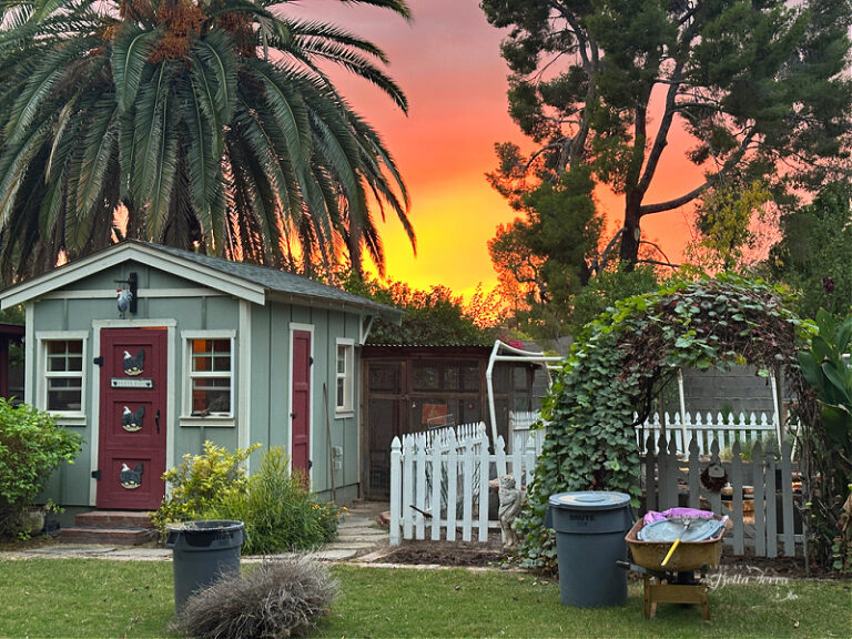 Saturday Meanderings