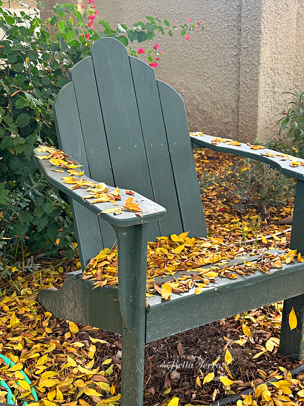 Saturday Meanderings