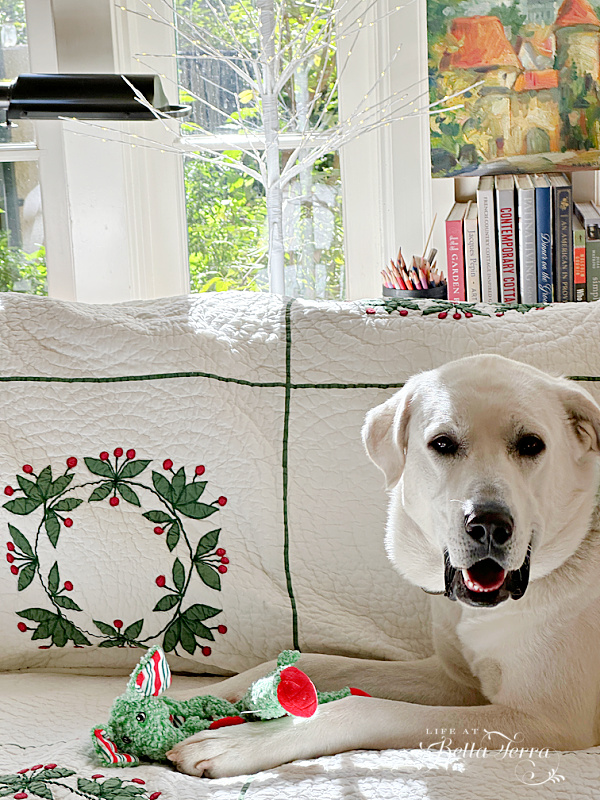 Saturday Meanderings