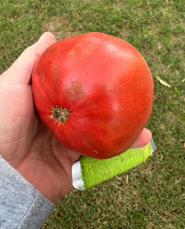 Saturday Meanderings