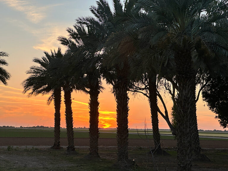 Saturday Meanderings